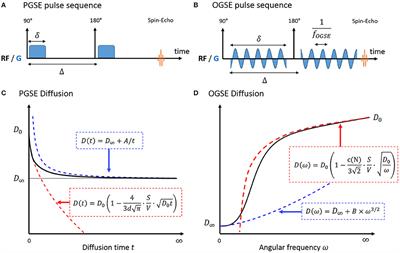 Time-Dependent Diffusion MRI in Cancer: Tissue Modeling and Applications